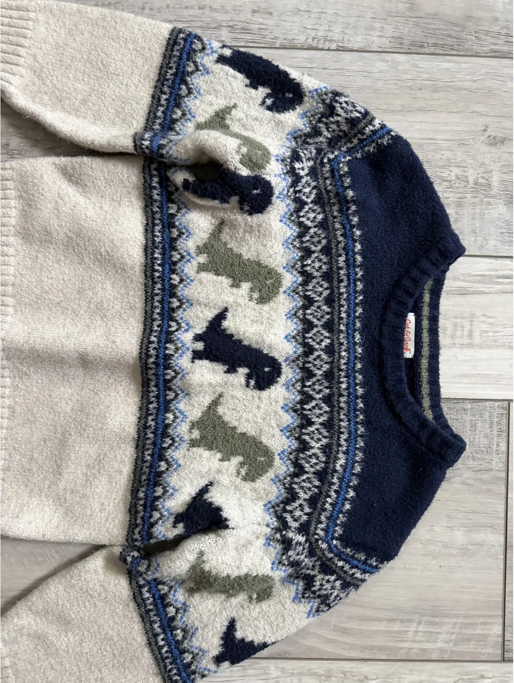 Cat & Jack Multicolored Boy's Dinosaur sweater size 5T